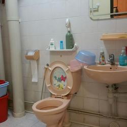 Blk 206A Compassvale Lane (Sengkang), HDB 5 Rooms #74019962